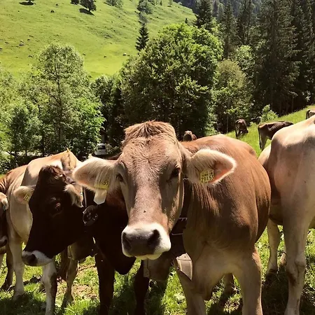 Nr 11, Oberstaufen-steibis, Allgaeu, Oberstaufen