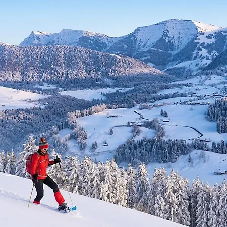 Nr 11, Oberstaufen-steibis, Allgaeu,