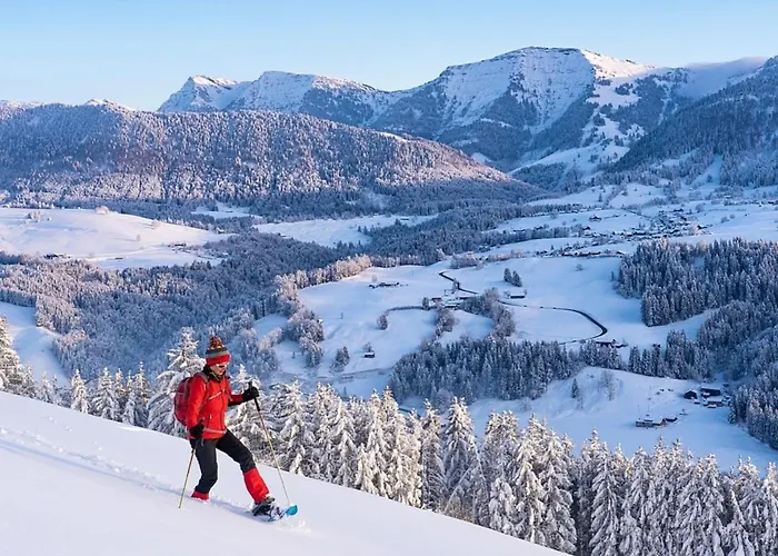 Nr 11, Oberstaufen-steibis, Allgaeu,