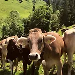 Nr 11, Oberstaufen-steibis, Allgaeu, Oberstaufen